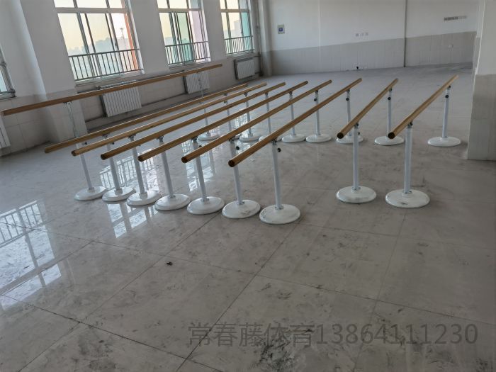 國(guó)內(nèi)某知名學(xué)校藝術(shù)部選用常春藤舞蹈把桿，舞蹈鏡